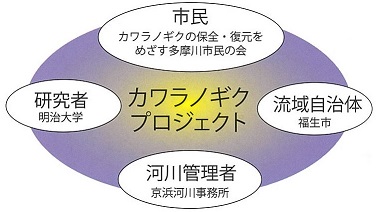 カワラノギク保全プロジェクト協働イメージの画像