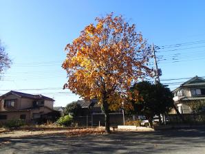 加美平東公園3