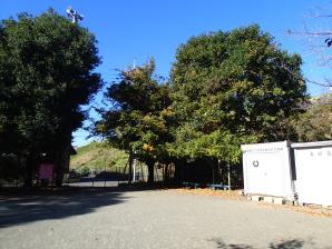 富士見公園2