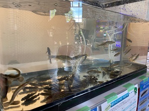 イメージ図