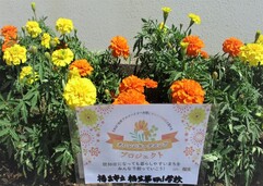 4小
