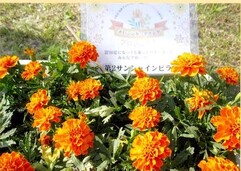 サンシャインビラ　